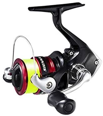 Shimano 19sienna 4000 アングラーズ 釣果250万件の魚釣り情報サイト