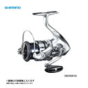 シマノ ストラディック 3000mhg 19ストラディック