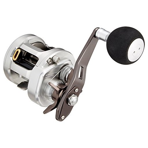 DAIWA CATALINA BJ 200SH-L