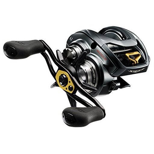 DAIWA STEEZ A TW 1016H