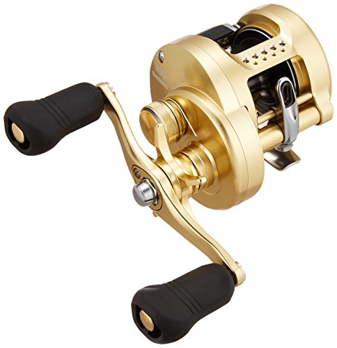 Shimano Calcutta 12 0 アングラーズ 釣果190万件の魚釣り情報サイト Shimano Calcutta 12 0 アングラーズ 釣果190万件の魚釣り情報サイト