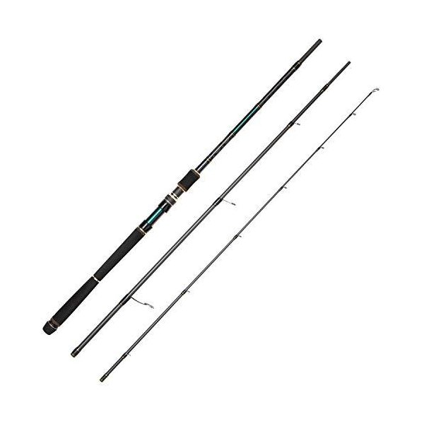 アブガルシア Abugarcia ソルティーステージ ショアジギング Salty Stage Shorejigging アングラーズ 釣果250万件の魚釣り情報サイト