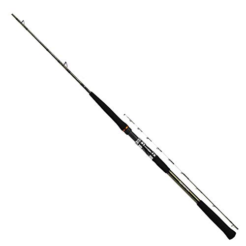 Daiwa Leading 55 Mh2 アングラーズ 釣果250万件の魚釣り情報サイト