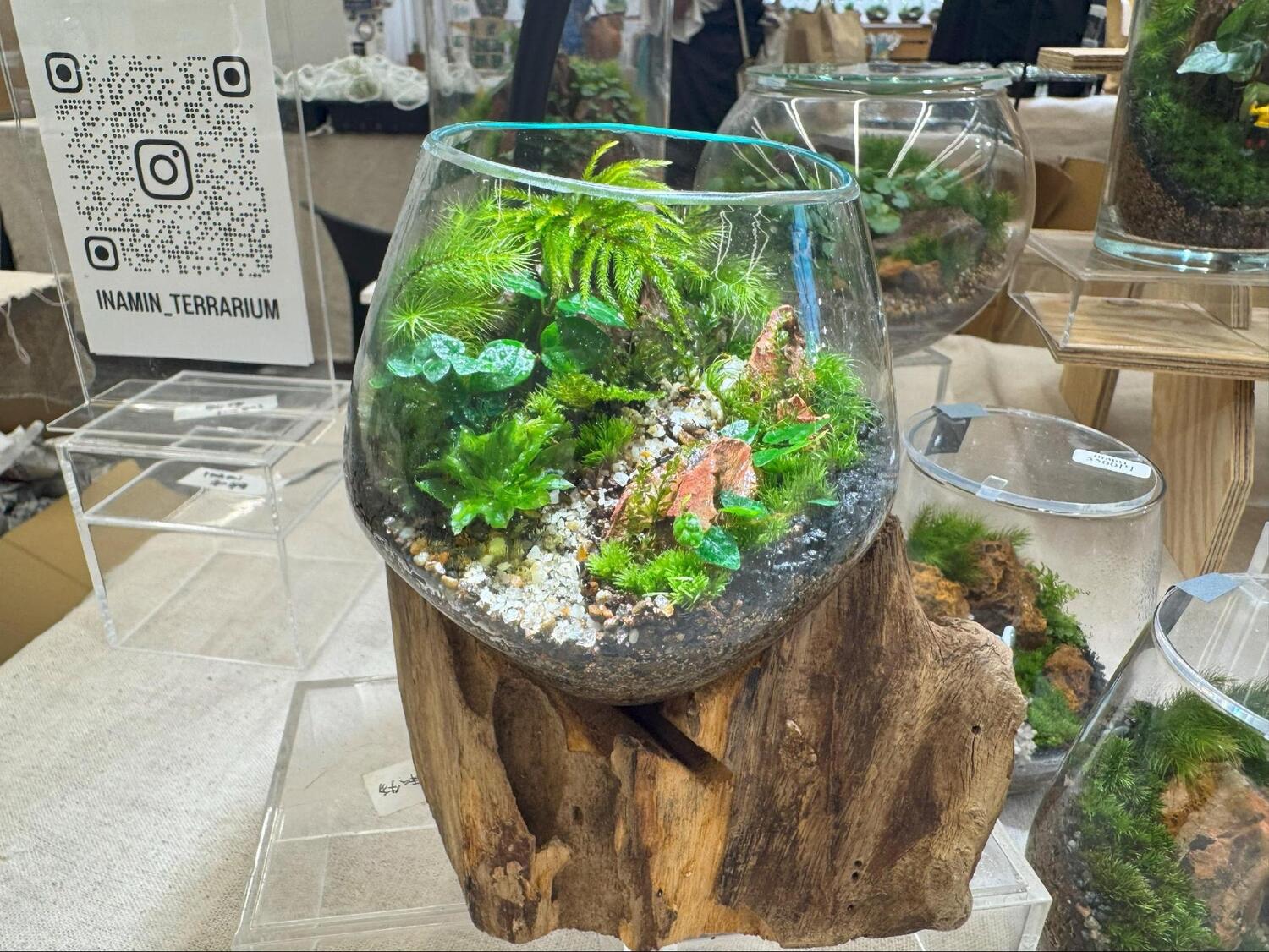 LIVING GREEN FES］体験型植物の祭典 「KABOLO Vol.7」が開催されました！