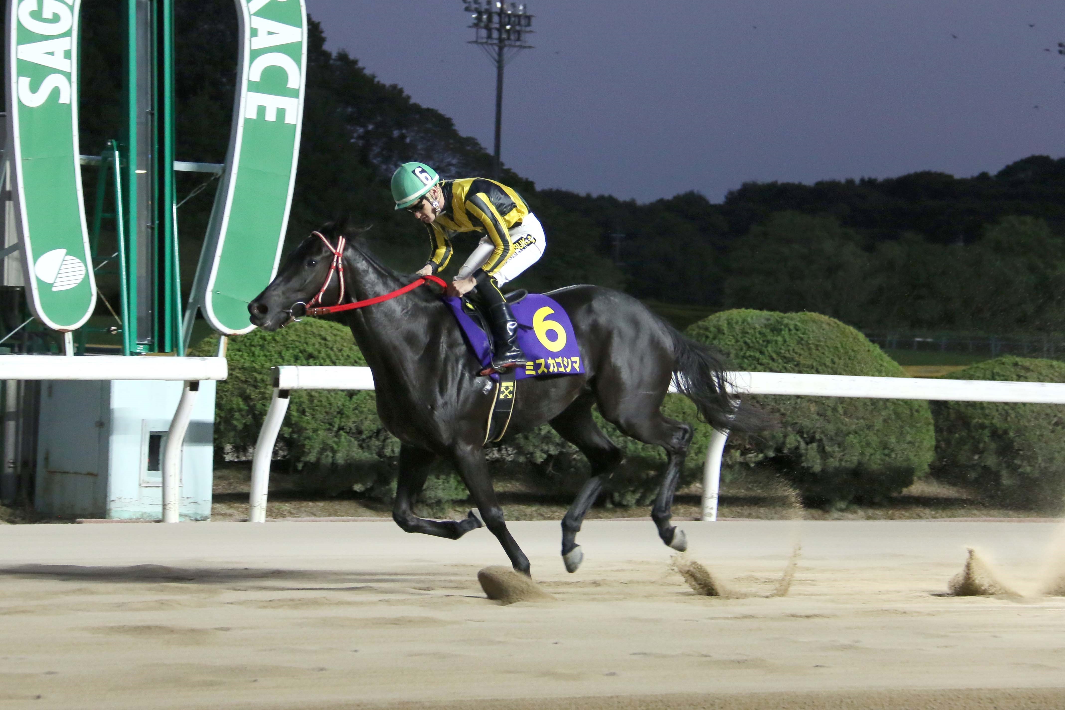 うま 競馬 きち 地方