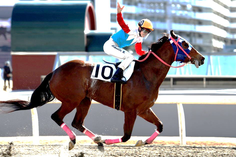 川崎 ミカエル ミシェル 騎手の地方競馬初勝利について お知らせ ニュース 楽天競馬 川崎 ミカエル ミシェル 騎手の地方競馬初勝利について お知らせ ニュース 楽天競馬