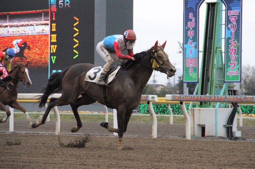 Nar ミカエル ミシェル騎手 川崎 が短期免許最多勝記録を更新 お知らせ ニュース 楽天競馬 Nar ミカエル ミシェル騎手 川崎 が短期免許最多勝記録を更新 お知らせ ニュース 楽天競馬