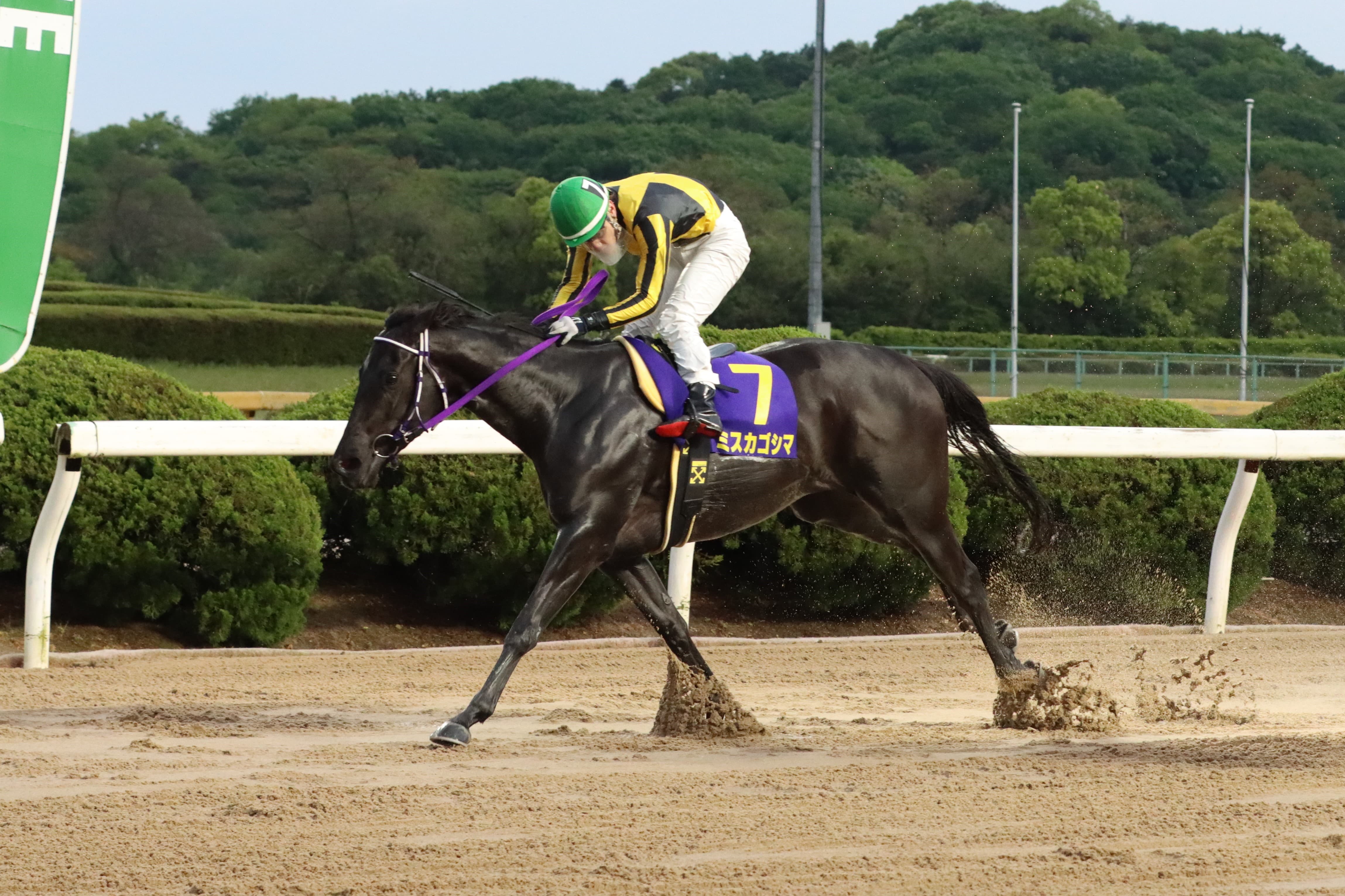 佐賀 佐賀皐月賞結果について お知らせ ニュース 楽天競馬