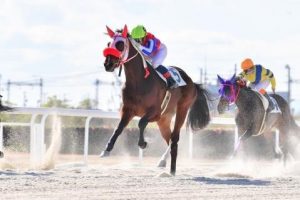 笠松 伊藤強一調教師00勝達成のお知らせ お知らせ ニュース 楽天競馬