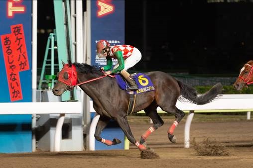 大井 tck大賞 受賞馬 受賞者決定 お知らせ ニュース 楽天競馬