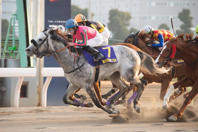 大井】今年は放送地域を拡大！「東京大賞典」フジテレビ他2局・Bsフジで生中継！:お知らせ&ニュース:楽天競馬