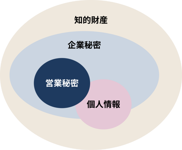 営業秘密と企業秘密・個人情報・知的財産の関係