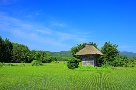 ふるさと納税は年末調整に必要?