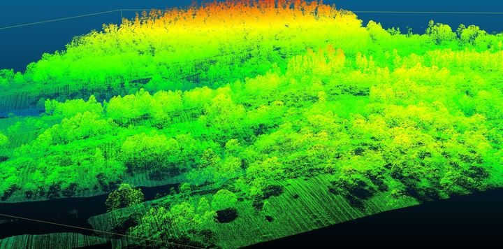 森林を上空から計測した点群データの例