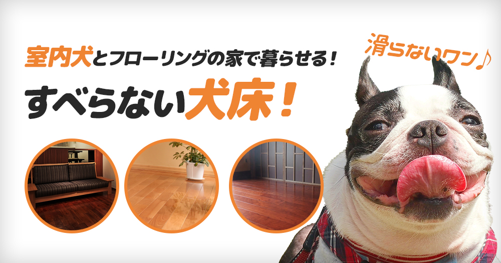 犬床アイキャッチ