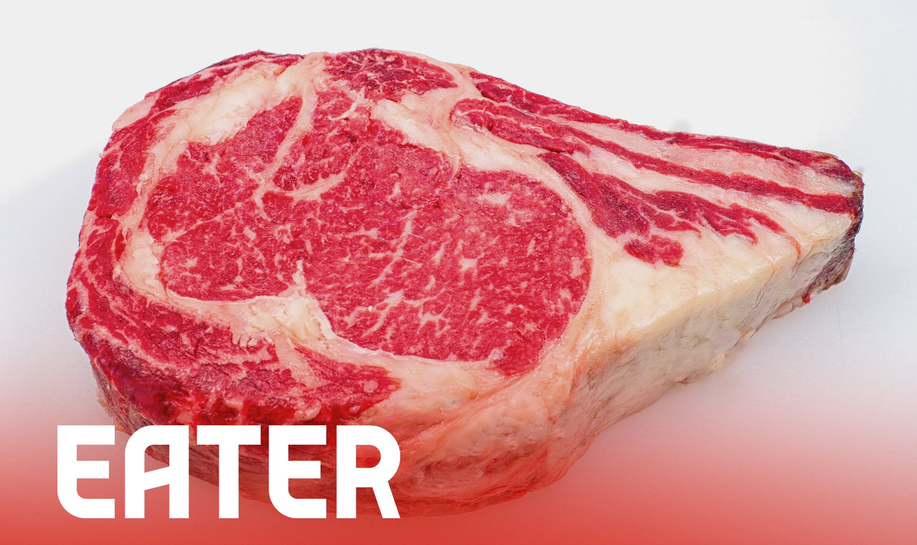 ステーキ大全集 Steak Cuts Explained ホープイングリッシュ