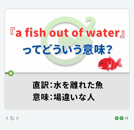 A Fish Out Of Water ってどういう意味