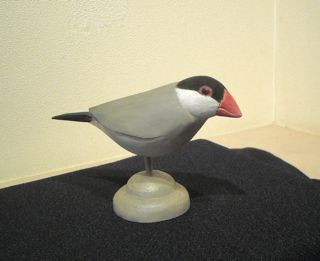 pico