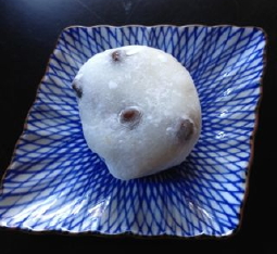 fujimura