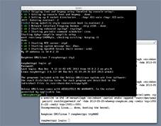 RP on QEMU