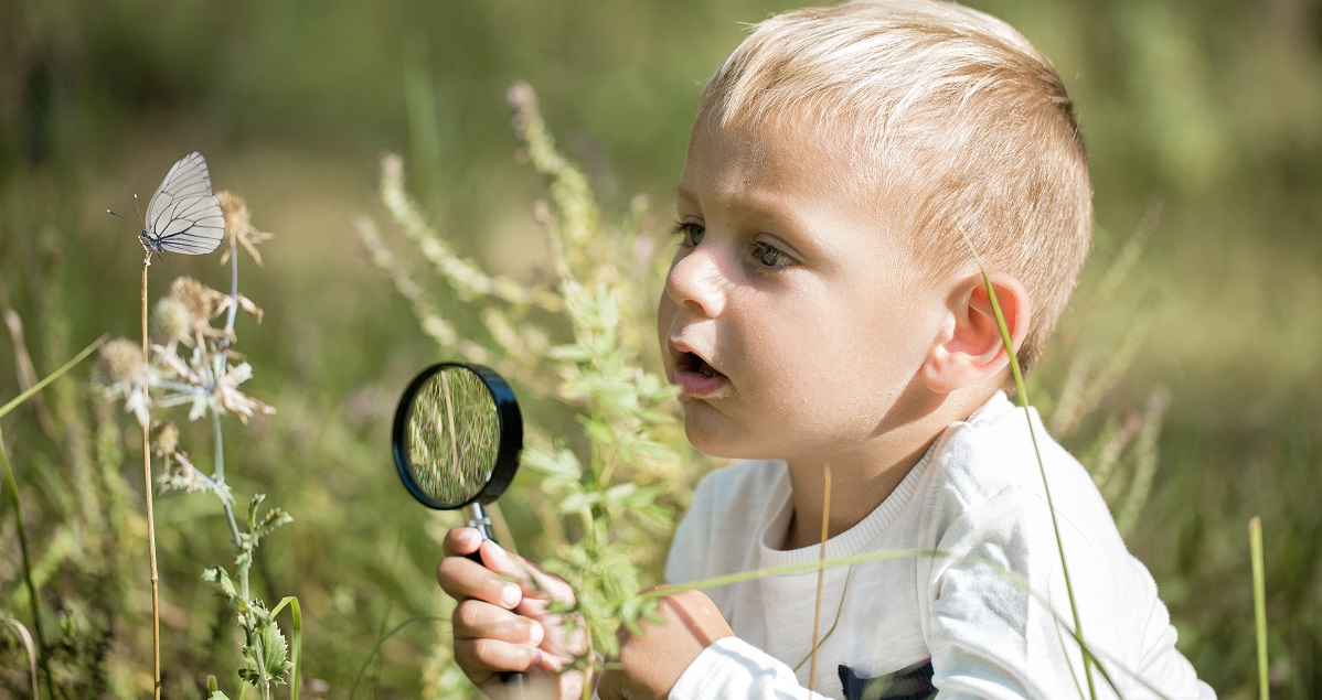 感動 が子どもの 生きる力 と 脳 を育てる 自己肯定感を高める体験とは