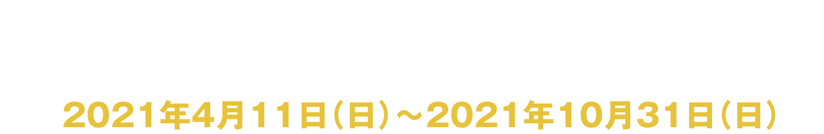 マイノリティ・ストラテジークラブ第1期開催期間
