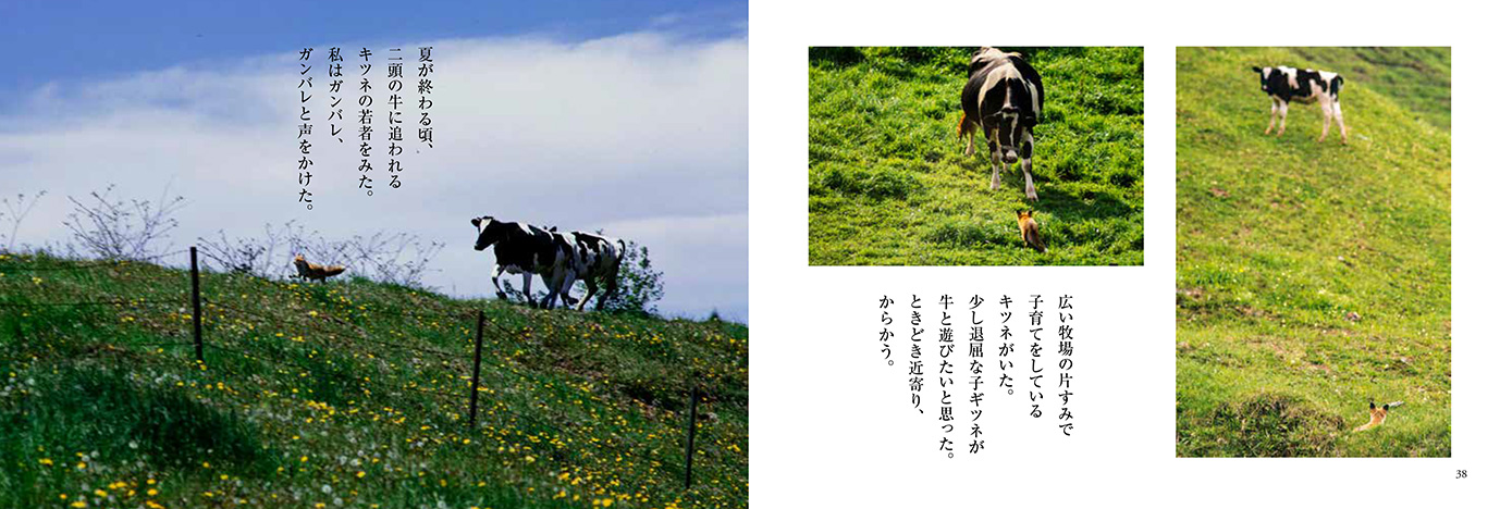 私の鳥獣戯画