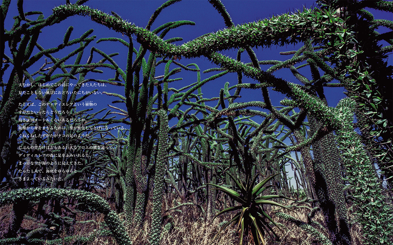 マダガスカル島へ