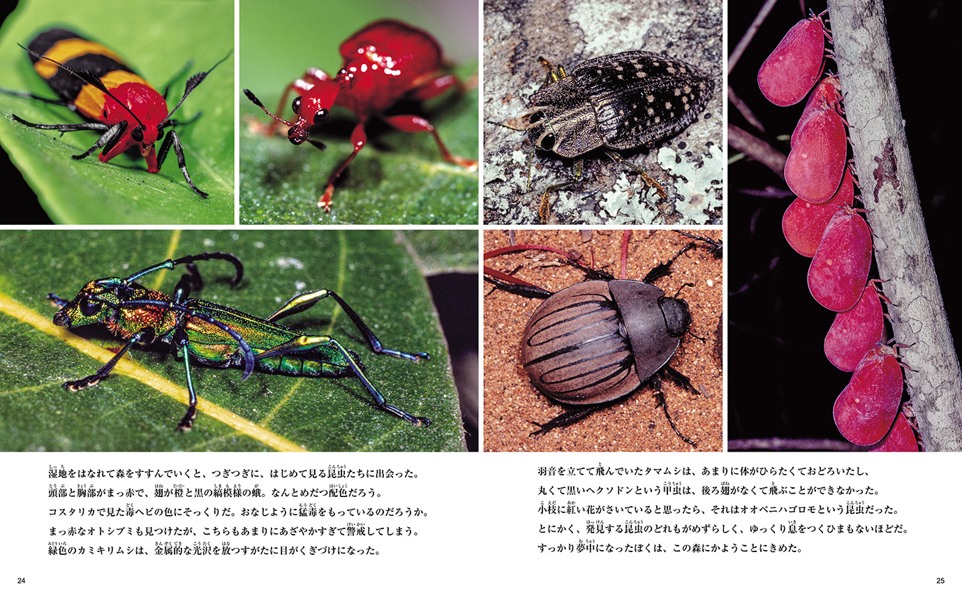 マダガスカル島へ