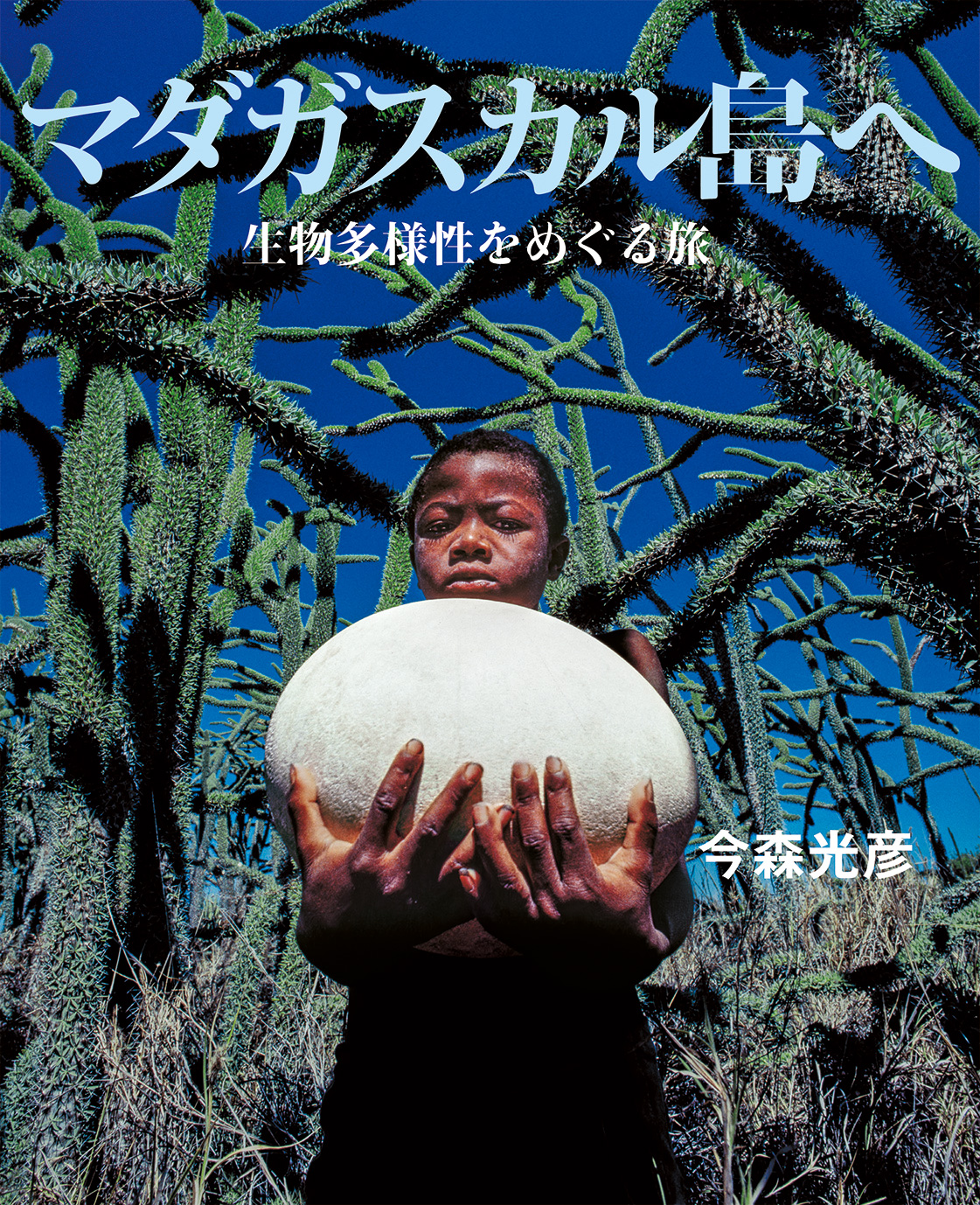 マダガスカル島へ