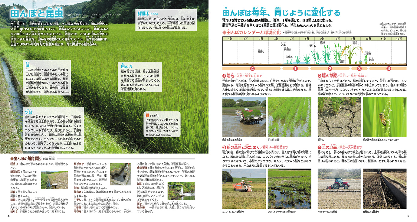 田んぼと畑の昆虫1124種