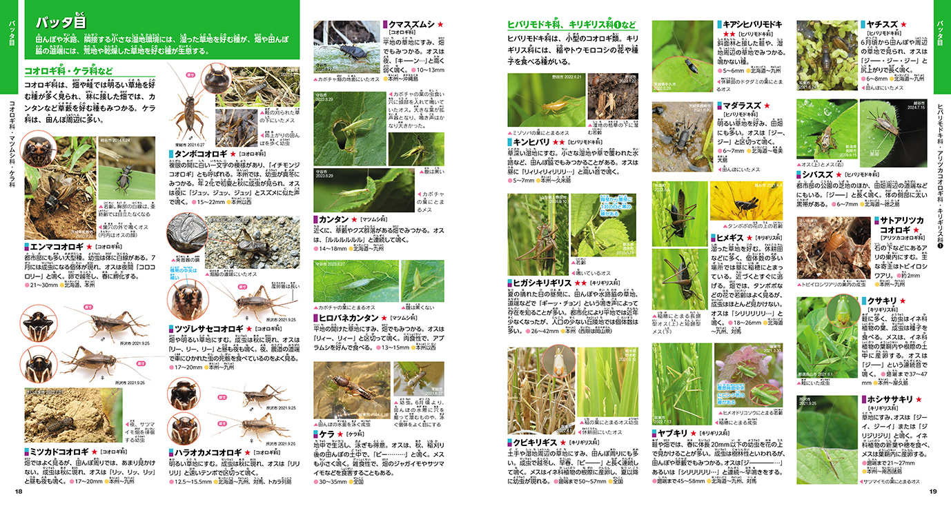 田んぼと畑の昆虫1124種
