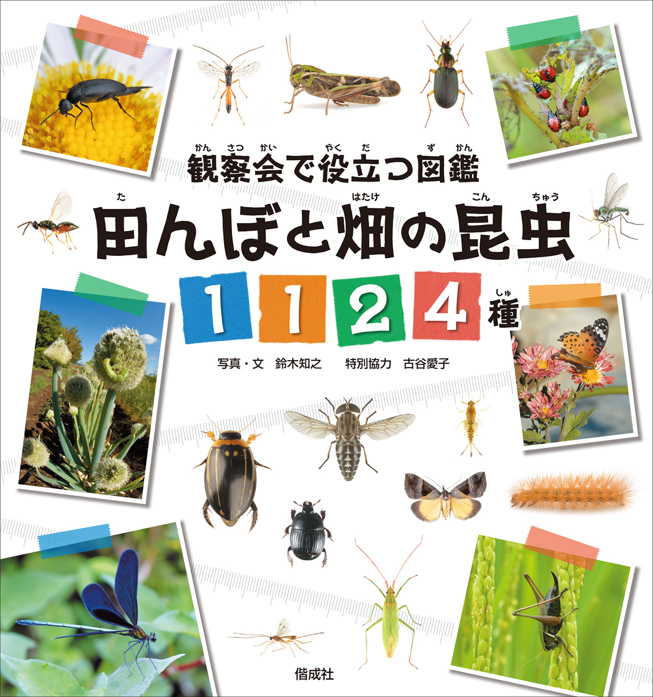 田んぼと畑の昆虫1124種
