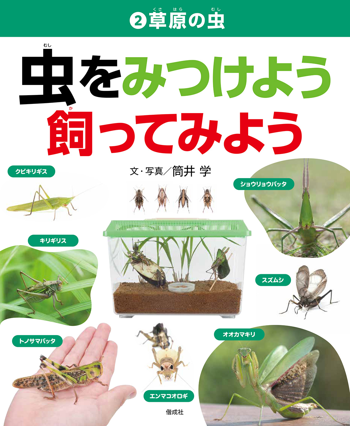 草原の虫