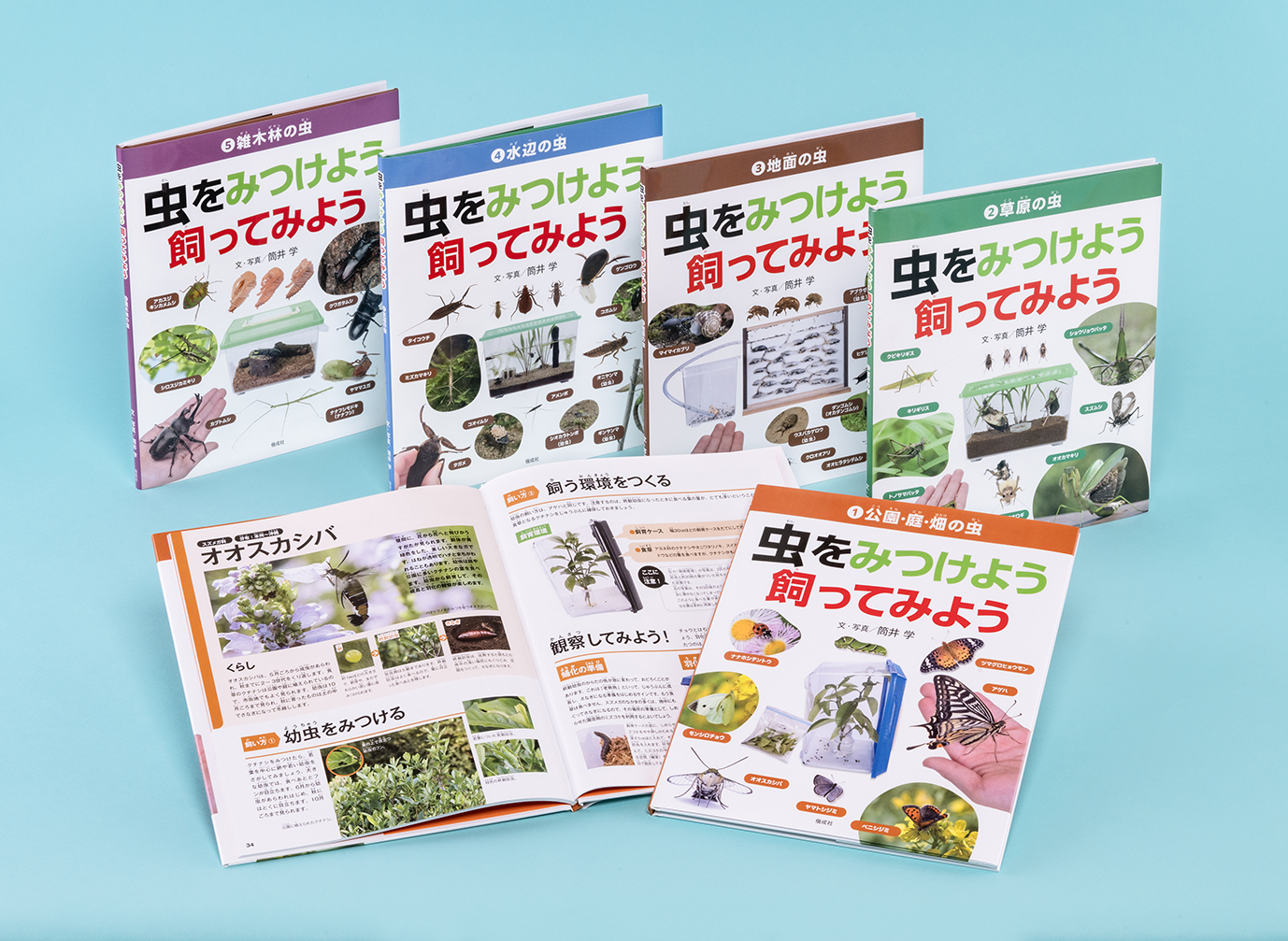 虫をみつけよう 飼ってみよう（全５巻）