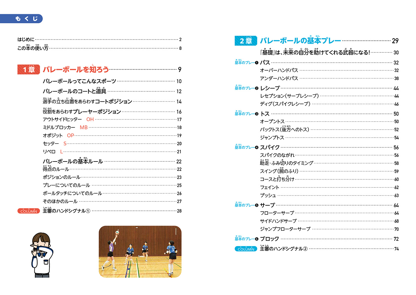バレーボール