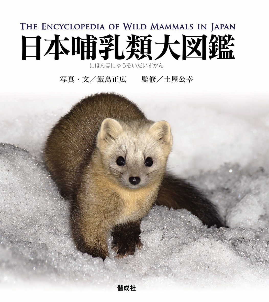 日本哺乳類大図鑑