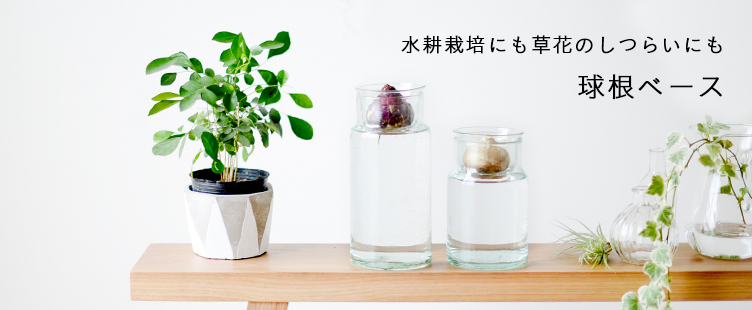球根の水耕栽培用の球根ベースや花瓶 北欧 暮らしの道具店 球根の水耕栽培用の球根ベースや花瓶 北欧 暮らしの道具店