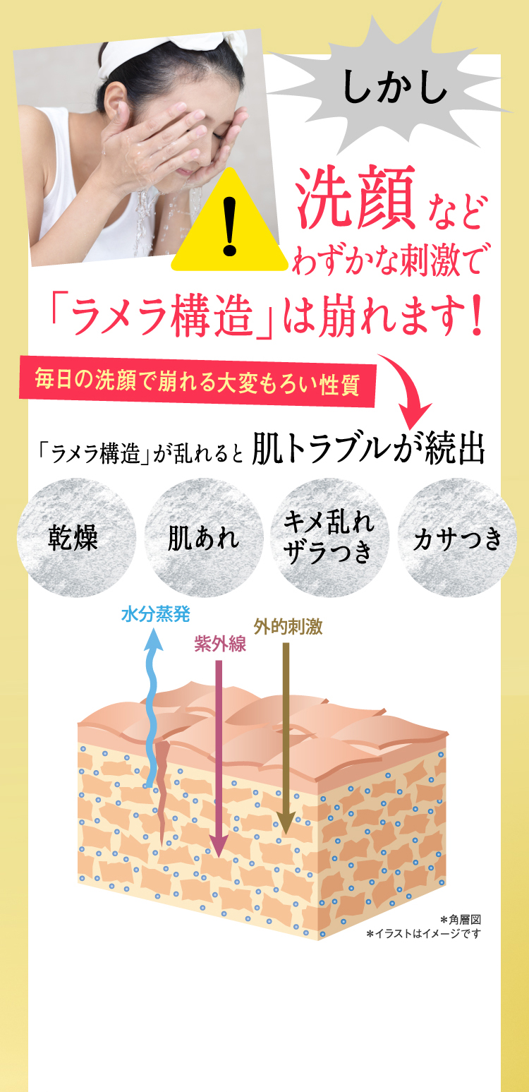 ラメラセラミド原液 プラセンタ コラーゲン商品ならフラコラ