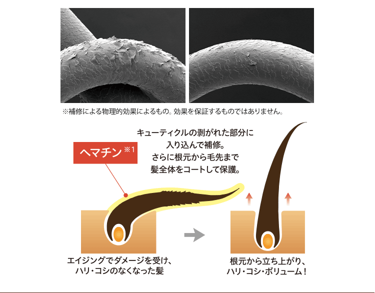 キューティクルの剥がれた部分に入り込んで補修。さらに根元から毛先まで髪全体をコートして保護。