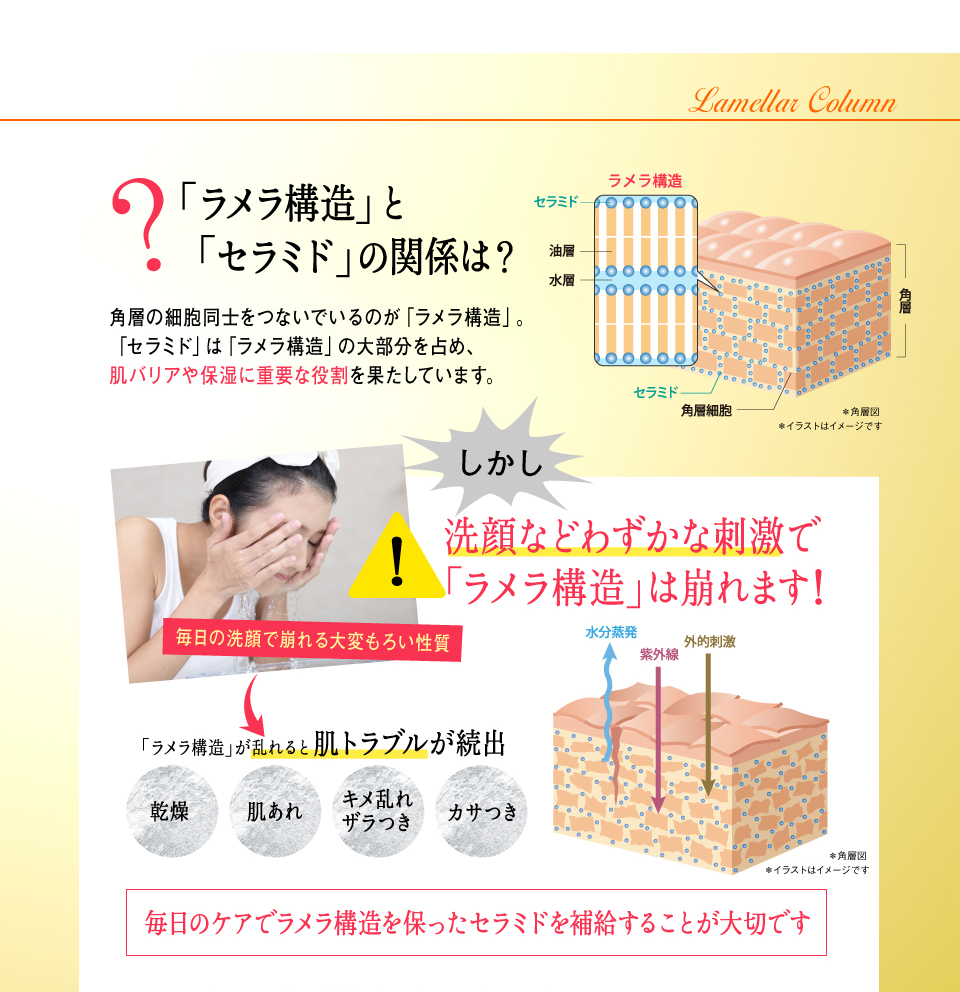 ラメラセラミド原液 フラコラ Fracora 公式サイト