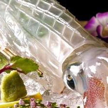 旅館 魚半 佐賀 唐津 写真ライブラリ 近畿日本ツーリスト