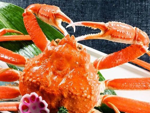 【物価高に対抗キャンペーン！】蟹1杯がついてなんとこのお値段！冬季限定specialプラン