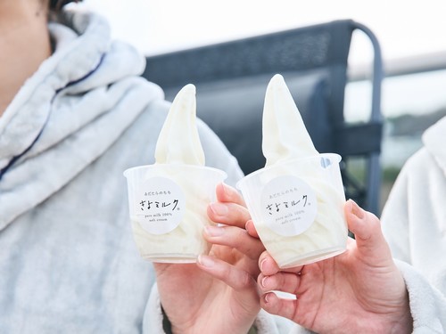 二本松の行列のできるソフトクリーム「きよミルク」販売開始記念 お一人様１つ付き ビュッフェプラン