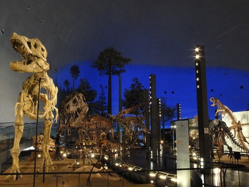 【お得な入館券付き 福井恐竜博物館】学ぶ恐竜の進化 国内最大級の恐竜博物館＆吉祥のコラボレーション