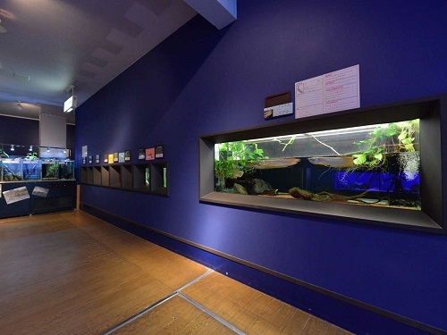 人気プラン【竹島水族館★チケット付】ホテルより徒歩3分の絶対外せない定番スポット♪