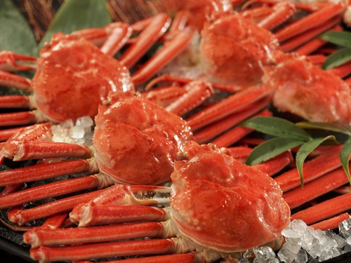 【グルメプラン】本ズワイガニ姿まるごと食べ放題付1泊2食 基本バイキングプラン