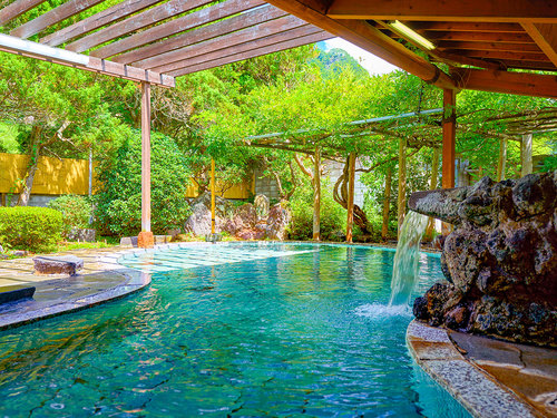 【グルメプラン】本ズワイガニ食べ放題（ツメ、脚）付1泊2食 基本バイキングプラン