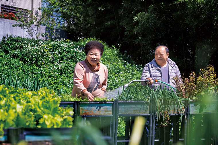 胡氏姊弟原本居住在新北市三重，搬 到關西後，挽起袖子走入菜園，重拾農村生活的樂趣。