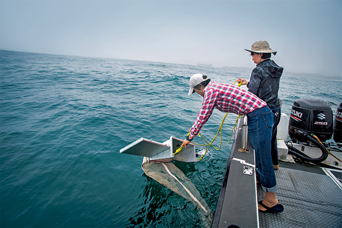 422世界地球日 直擊台灣海洋垃圾危機 這些 巧克力球 不斷毒殺我們的大海政府每年花17億清海廢卻治標不治本 今周刊 422世界地球日 直擊台灣海洋垃圾危機 這些 巧克力球 不斷毒殺我們的大海政府每年花17億清海廢卻治標不治本 今周刊